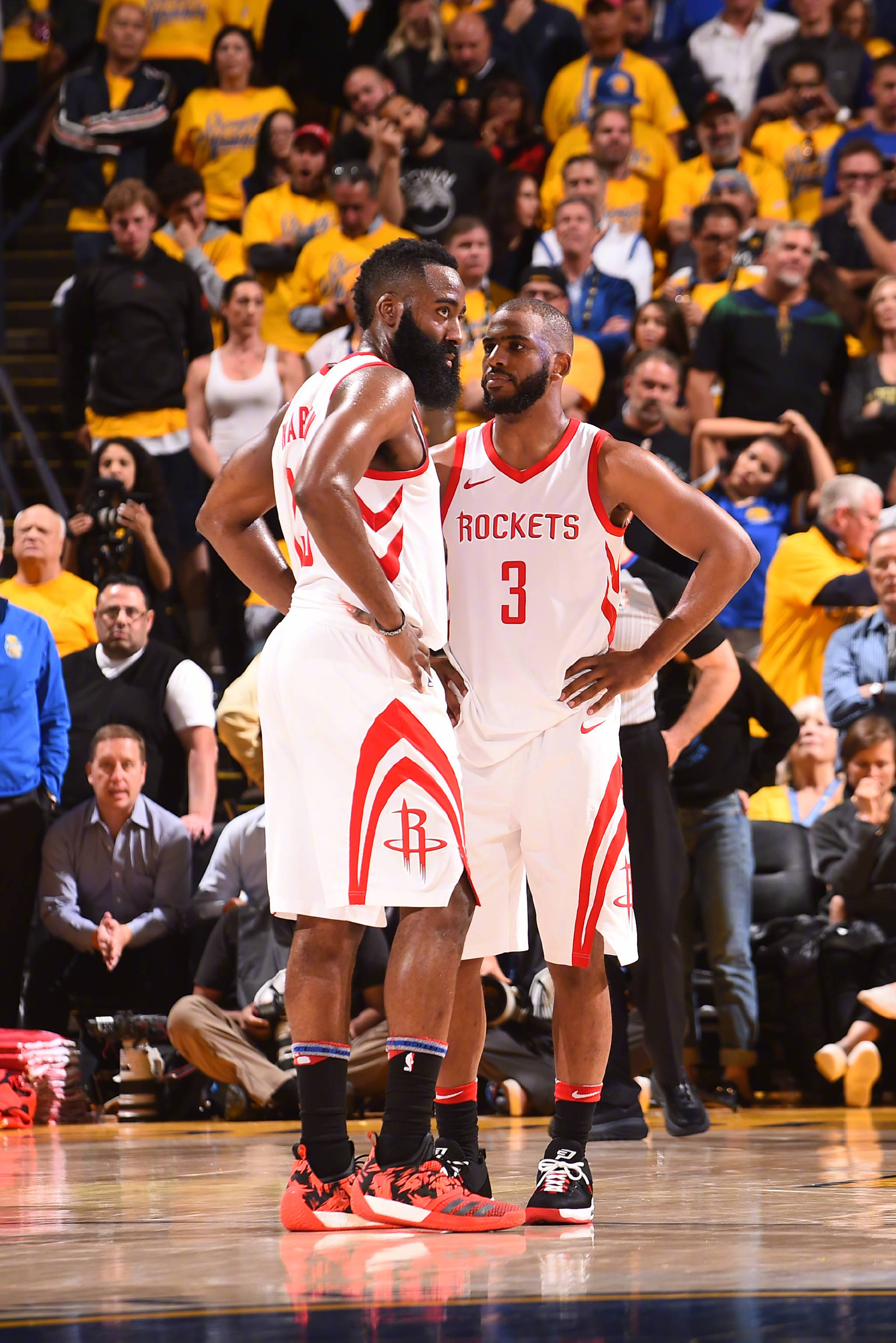 马的获胜 马的获胜